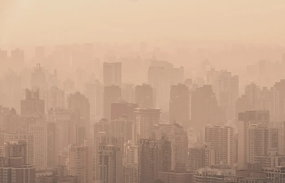 Atmospheric Particulate Matter Source Analysis Solution