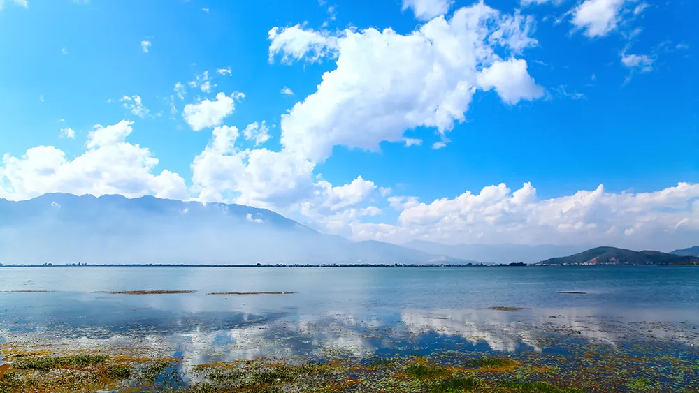 Erhai Lake Basin Ecological Environment Smart Supervision Project